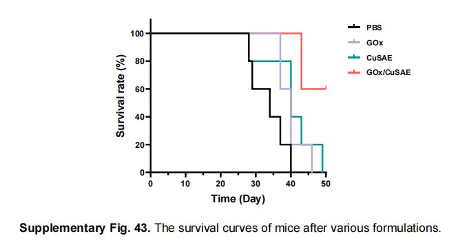 1758867675678009.jpg wx_fmt=png&from=appmsg&tp=webp&wxfrom=10005&wx_lazy=1(2).jpg