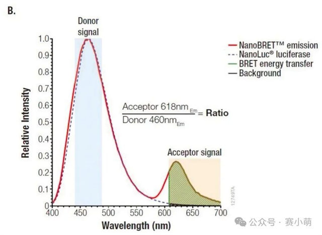 1758869680541713.jpg wx_fmt=jpeg&from=appmsg&watermark=1&wxfrom=10005&wx_lazy=1&tp=webp.jpg