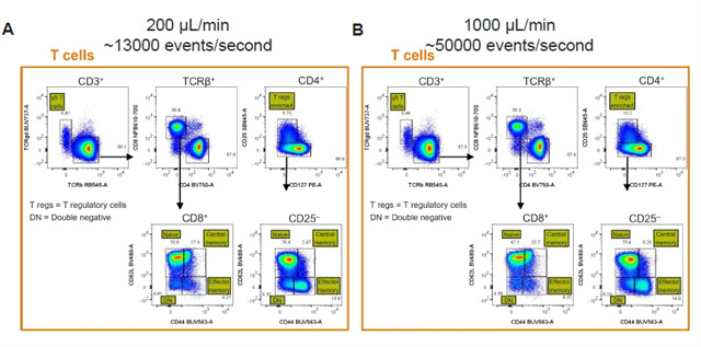 1758870184705313.jpg wx_fmt=png&tp=webp&wxfrom=5&wx_lazy=1(4).jpg